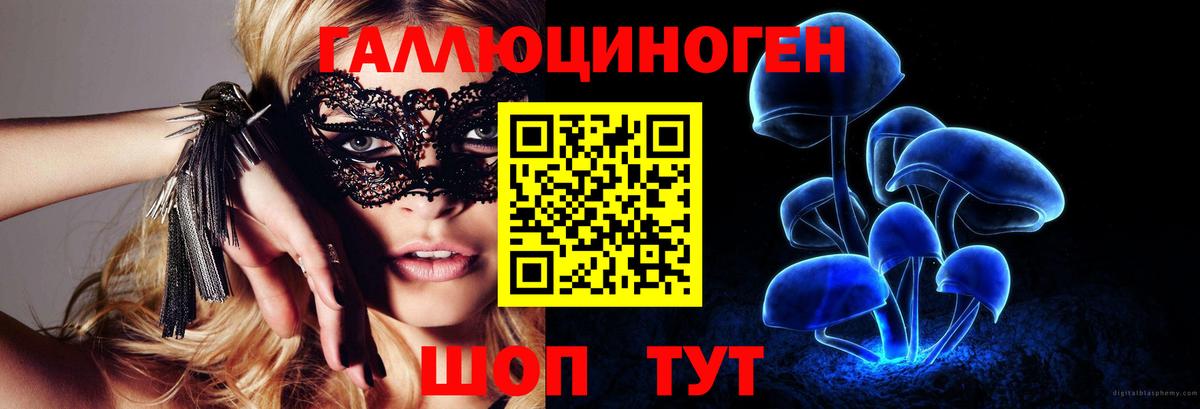 Псилоцибиновые грибы прущие грибы  Вход с VPN  Трёхгорный 